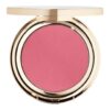 JOZZ COLOR CRUSH BLUSH  teinte 5  PLUM GARDEN