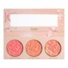 JOZZ ROSEBLUSH PALETTE Trio de Blush
